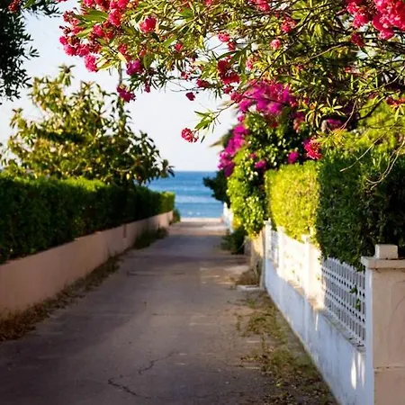 Вилла 5 Bedrooms Villa At Denia 50 M Away From The Beach With Private Pool Furnished Terrace And Wifi Дения